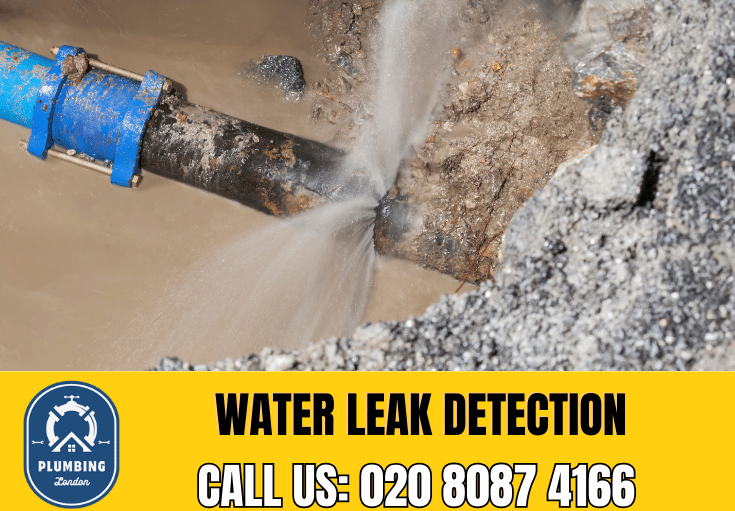 leak detection Twickenham