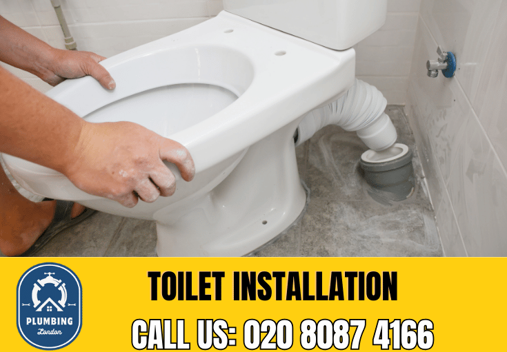 toilet fitters Twickenham